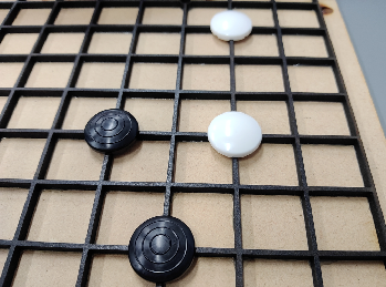 250723アイゴ拡大