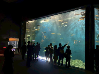 LINE_ALBUM_修学旅行2026.2.19-22_260224_1