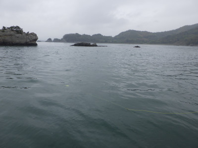 R0019908
