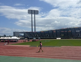 image5 (1)